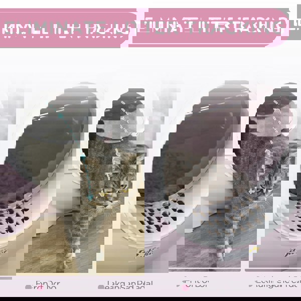 D31-081V00PK