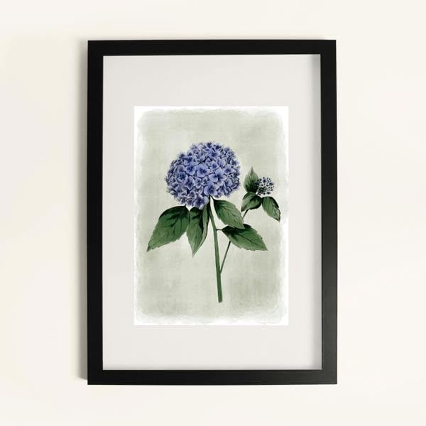 https://link.assetfile.io/60UI2nJtG7aIL8fsHqLjQU/AD2825_141687+HYDRANGEA+FLOWER+42x59.jpg