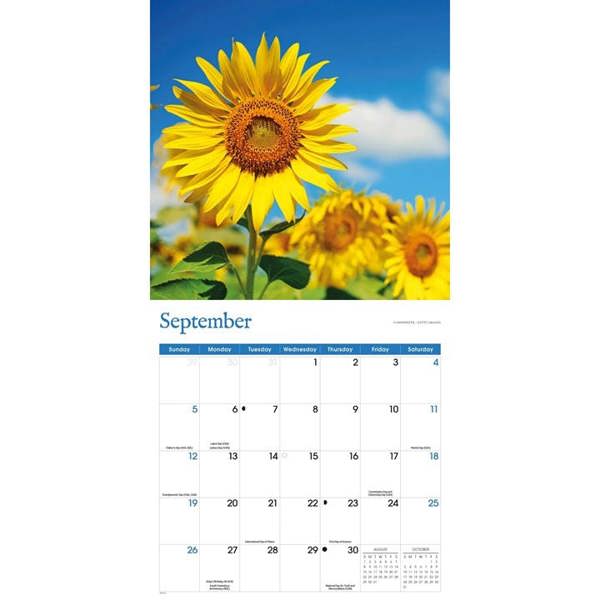 Sunflowers Calendar 2027, Wall Calendars, Month To View, Lifestyle, Gift
