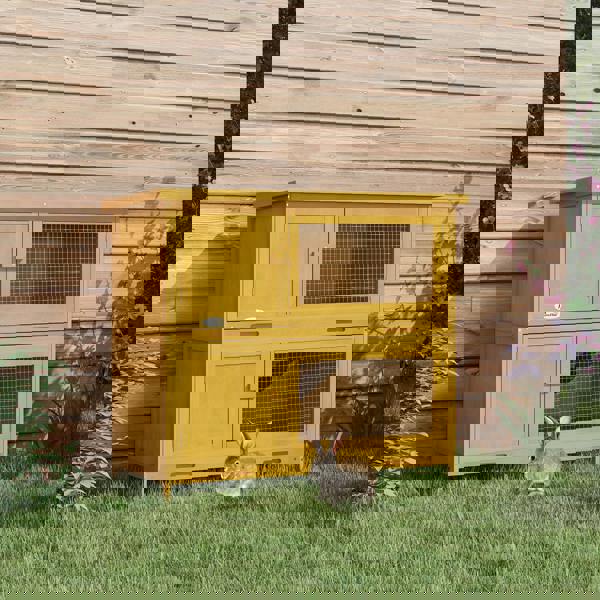 Rabbit Hutch