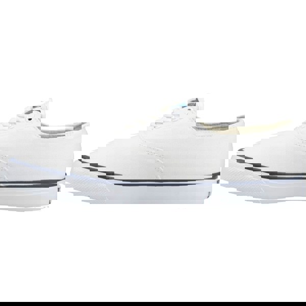 Sperry CVO Trainers 100% Cotton - White