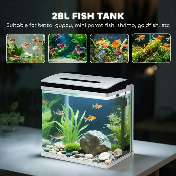 Small LED glass aquarium tank with tropical fish and pebbles on a tabletop