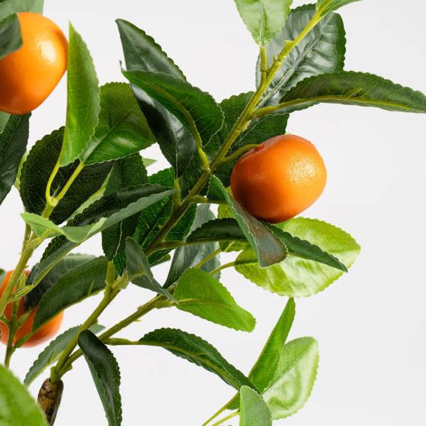 Scottish Everlastings 76cm Orange Tree in Woven Basket