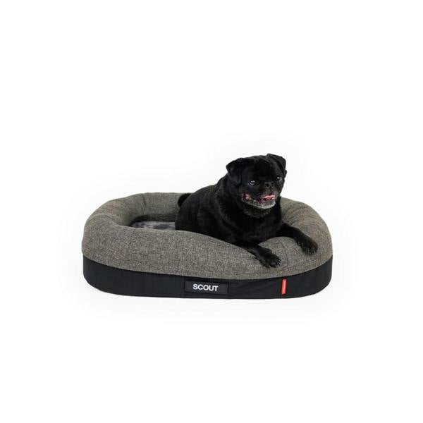 EzyDog Calm Elite Orthopaedic 2 in 1 Design Dog Bed