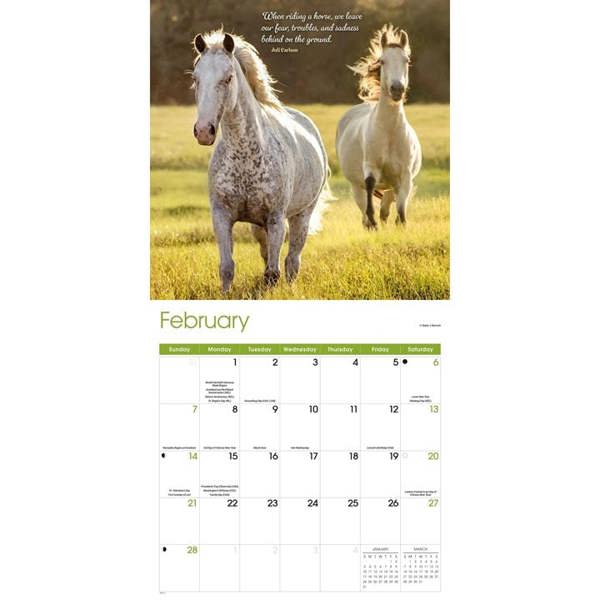 Horse Lovers Calendar 2027, Wall Calendars, Month To View, Animals, Gift