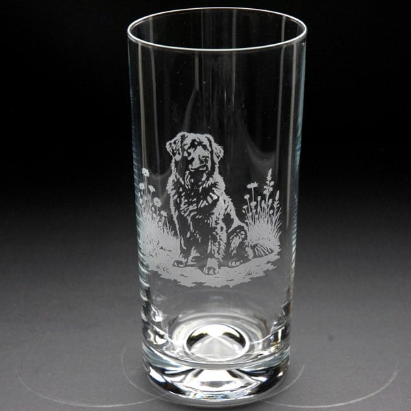 Glyptic Glass Art Newfoundland Dog Highball Glass - Hand Etched/Engraved Gift
