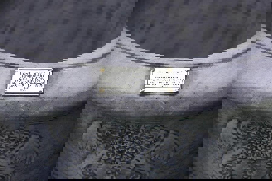 Pair of Lion Head design Stone Vases and Planter Troughs