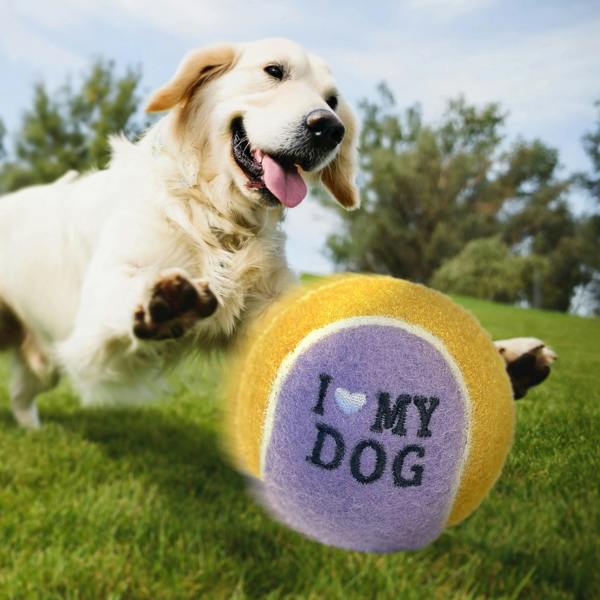 Abode Home & Gifts Set Of Two Personalised Name Dog Balls