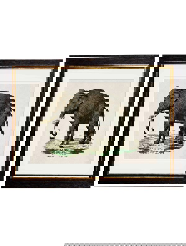 Exceptional Art c.1846 Elephants
