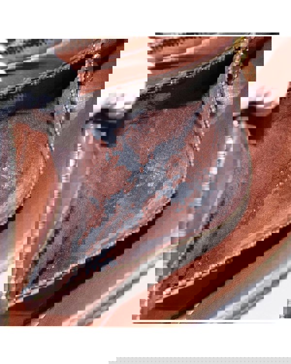 193970581.jpg