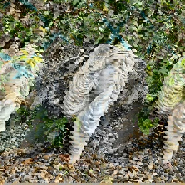 Face Planter Wall Plaque/Wall Pot