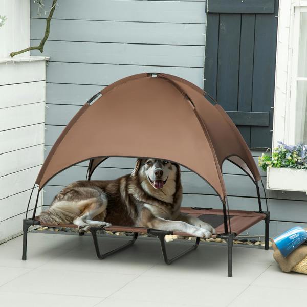 Elevated Dog Bed