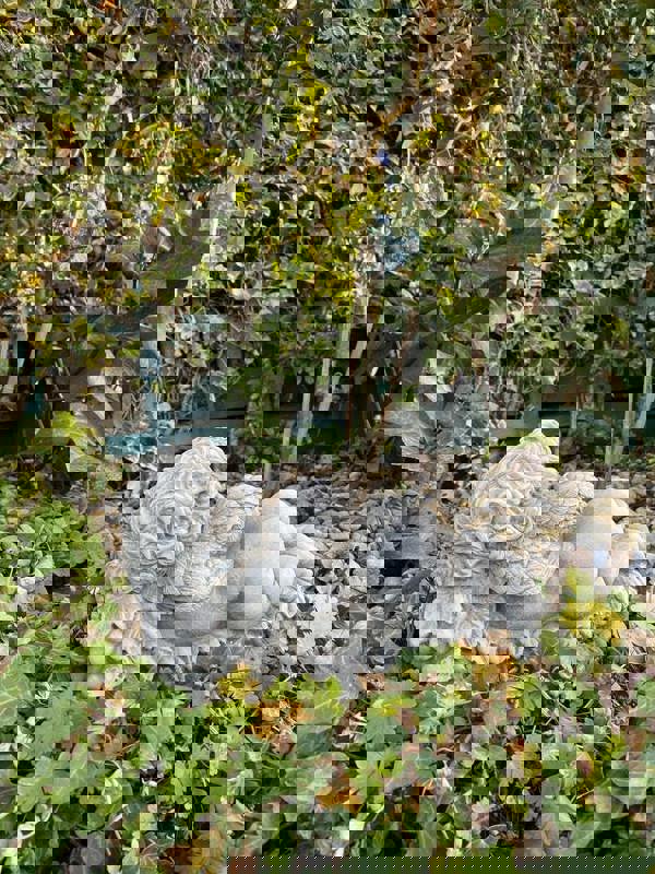 Vintage Cherub Statue Laying on a Grape