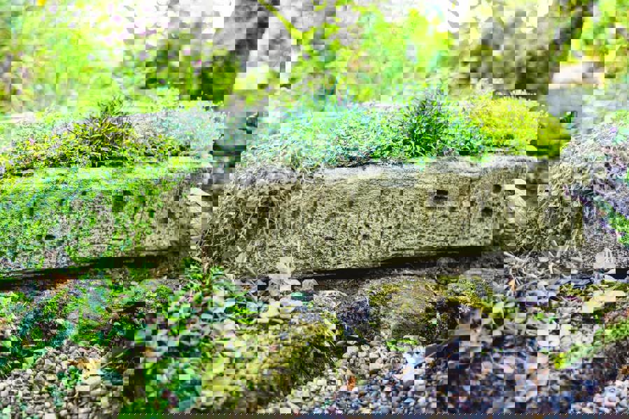 Herb Garden Planter Trough