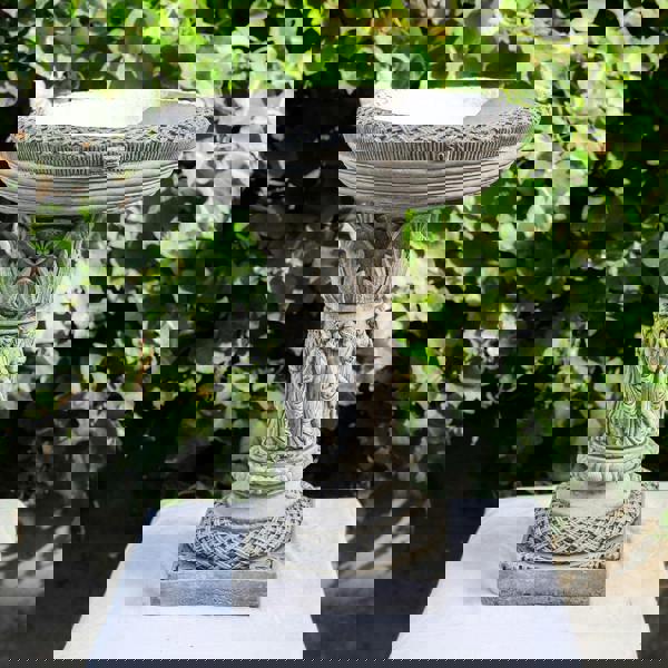 Patrician Bird Bath Elegant Stone cast Bird Bath Bird feeder