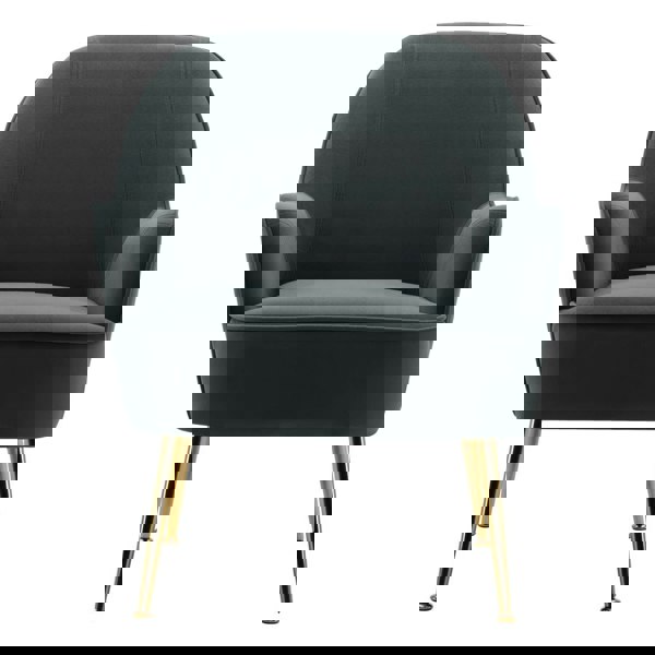 Leisure Velvet Armchair with Gold-plated Metal Legs Other Occasional Chairs Living and Home