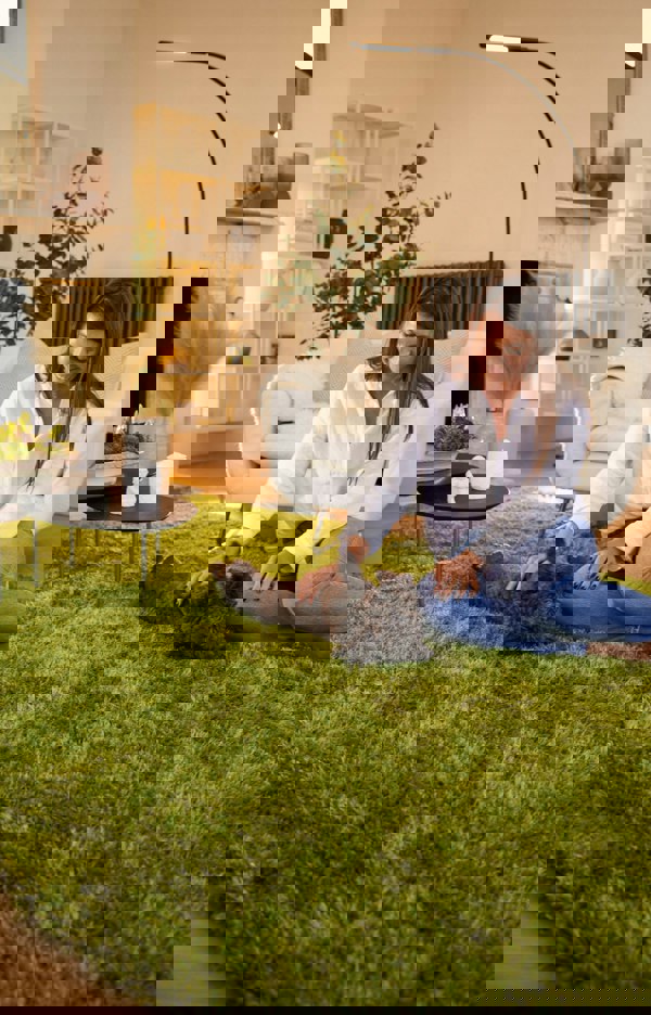 Origins Chicago Olive