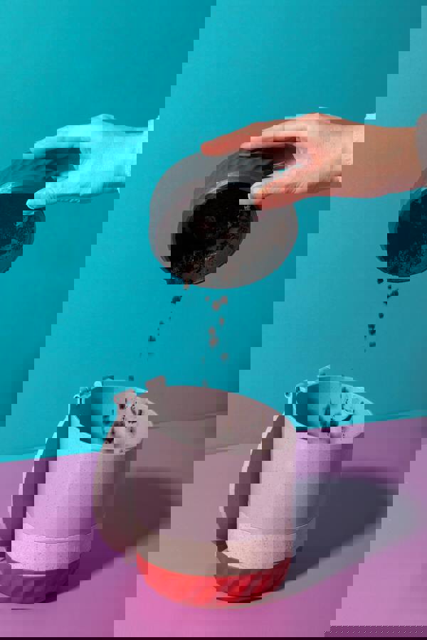 La Cafetière 'Zero' 3 Cup Green Cafetiere, Removable Base for Grounds, 350ml