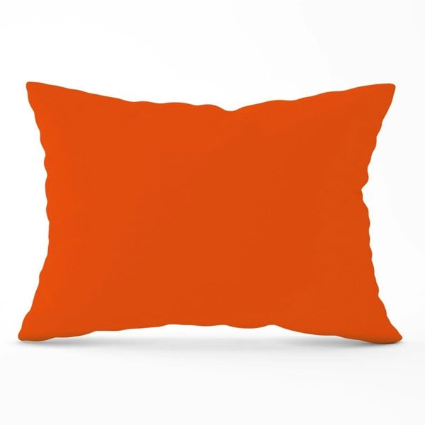 Warren Reed Burnt Orange Cushions