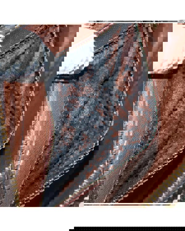 193986621.jpg