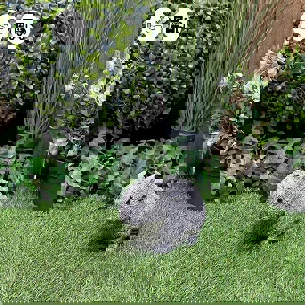 Adorable Small Rabbit Garden Ornament