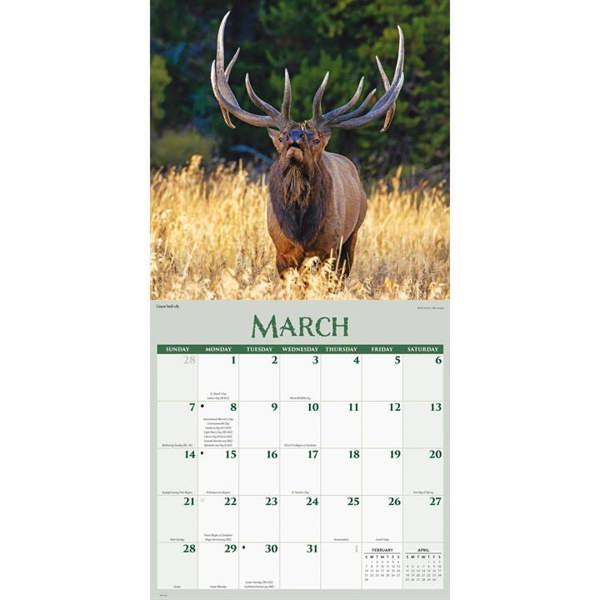 Wildlife Calendar 2027, Wall Calendars, Month To View, Animals, Gift