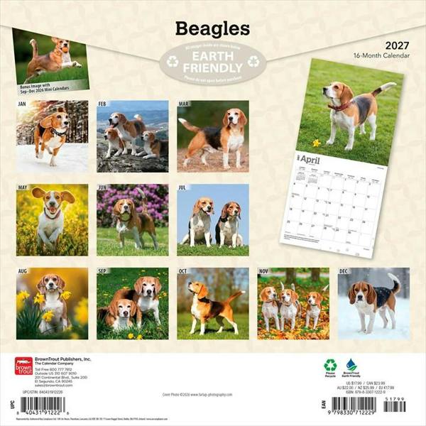 Beagles Calendar 2027, Wall Calendars, Month To View, Dogs, Gift