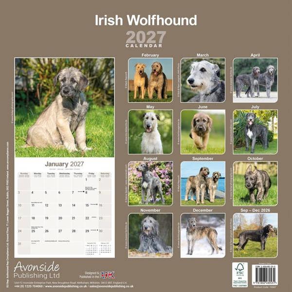 Irish Wolfhound Calendar 2027, Wall Calendars, Month To View, Dogs, Gift