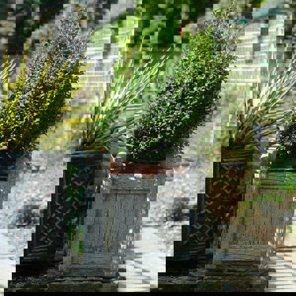 Stone Cast Square Wood Design Pot