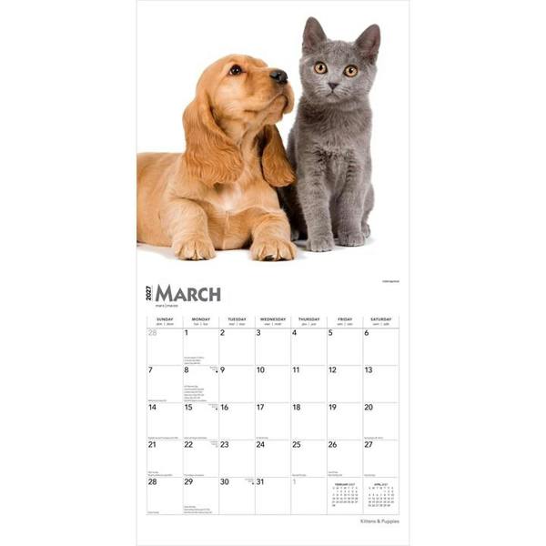 Kittens & Puppies Calendar 2027, Wall Calendars, Month To View, Cats, Gift