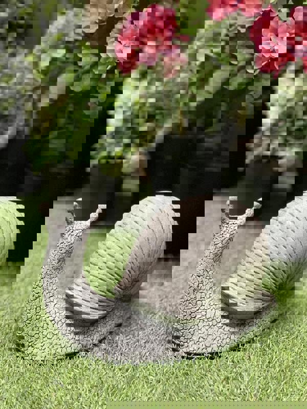 Small Stone Cast Snail Garden Ornament