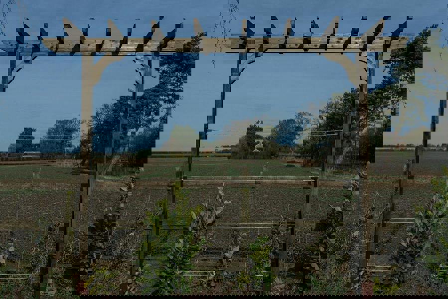 Arbor Garden Solutions Corbel Single Beam Pergola, Plant Climbing Arbour - Sculpted brace