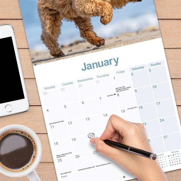 Poodle Calendar 2027, Wall Calendars, Month To View, Dogs, Gift