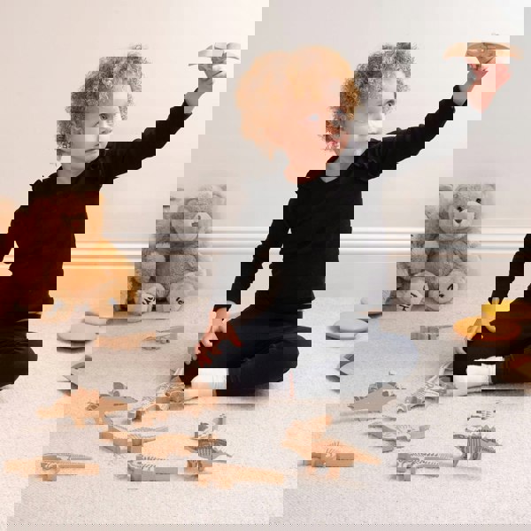 tickit Wooden Dinosaur Blocks