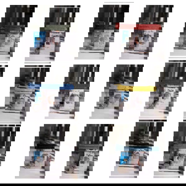 Assots London 'DINAH' Transparent Zip Top Tree Top Green Coin Purse