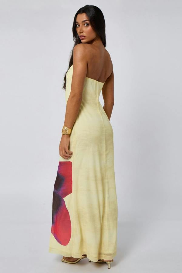 Urban Bliss Bandeau Maxi Dress With Floral Print