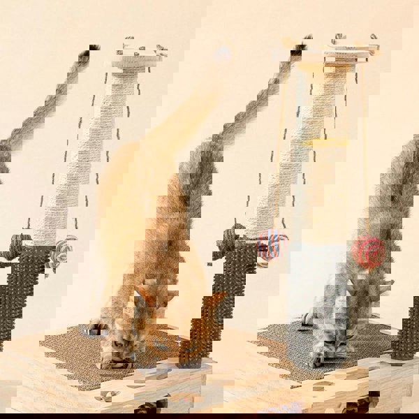 Bud's Toy, ScratchingPost, Cat Scratchers-Weilai concept-Weilai Concept