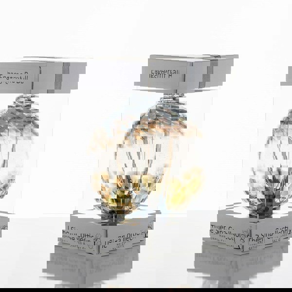 Engagement Gift Spirit Ball - Pastel Silver