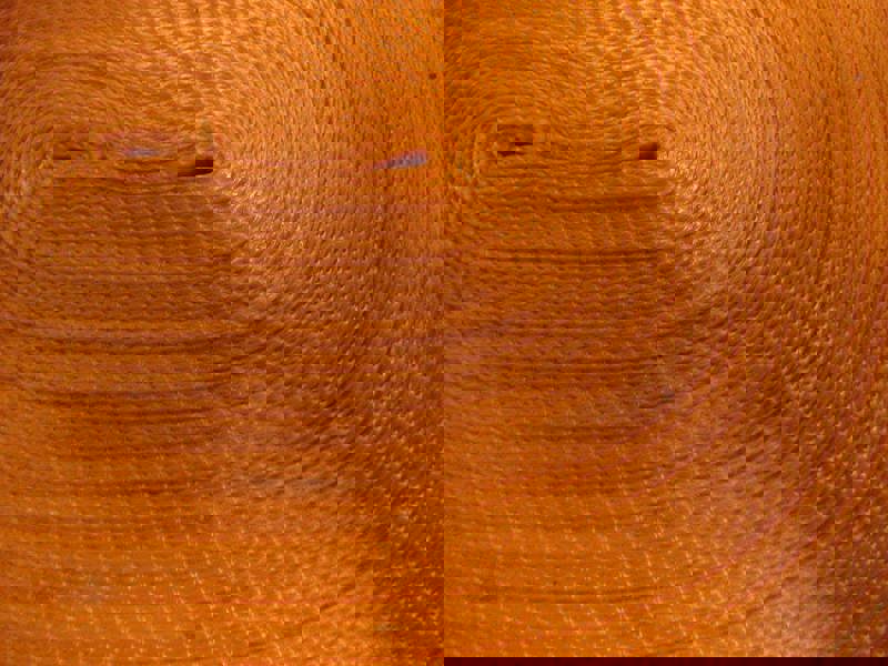 Polyester Webbing Strap Tape Roll 100M 25MM Orange (Tie Down Lashing Belt)