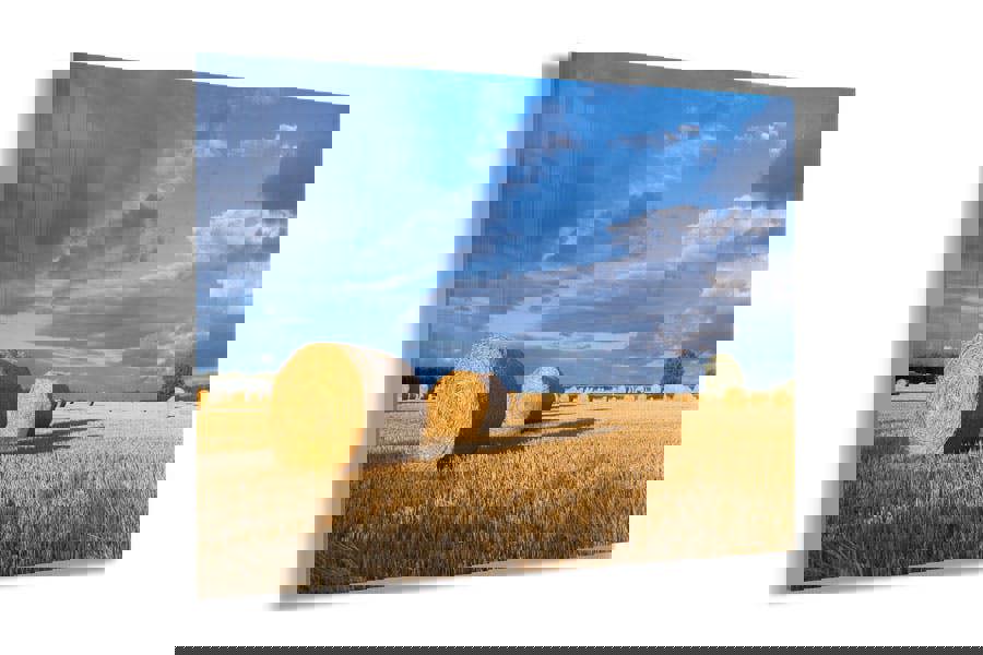 landscape and fine art photography print