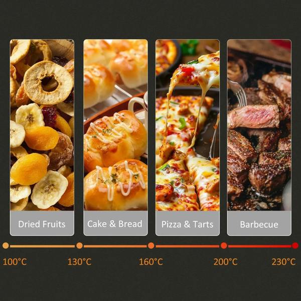 Mixed oven foods like dried fruits, cake, pizza, and barbecue with temperature range