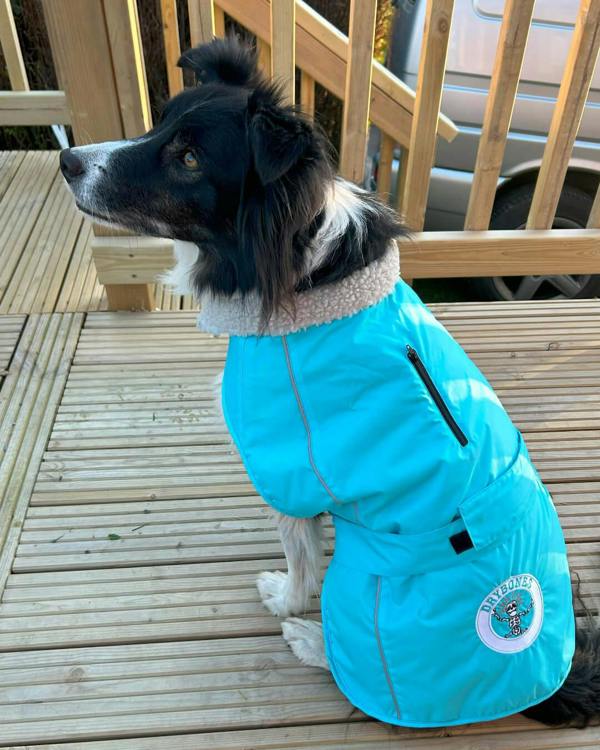 DRYBONES Waterproof Dog Coat