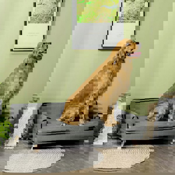 D04-256V70LG