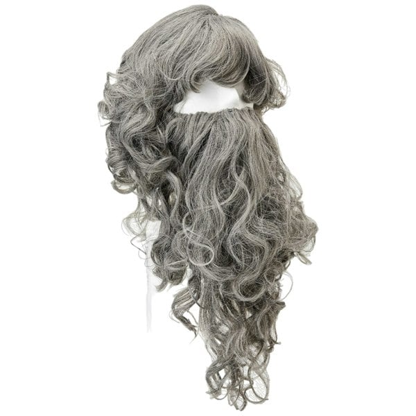 Bristol Novelty Wizard Beard & Wig Set - Grey