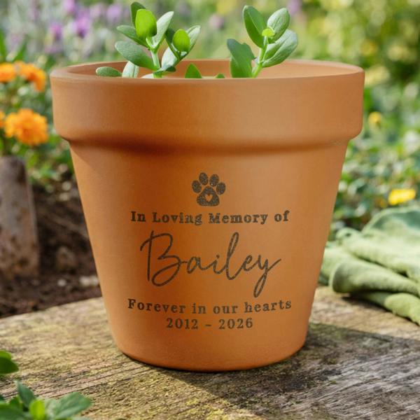 Personalised terracotta pet memorial plant pot sitting outdoors on a wooden bench engraved with a pawprint, In Loving Memory of, Bailey, Forever in our hearts, 2012 - 2026.