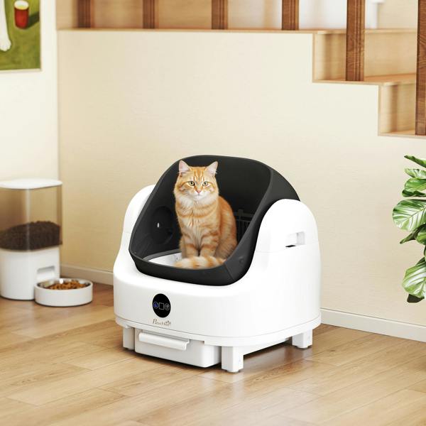 Self Cleaning Litter Box