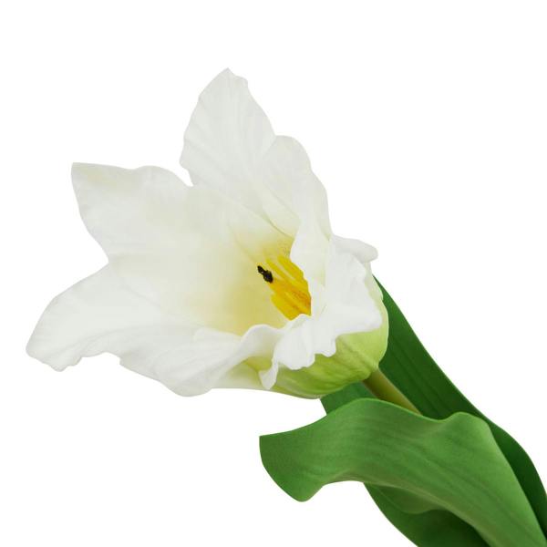 Wyld Haus Set of 3 Artificial Flowers White Curcuma Stem