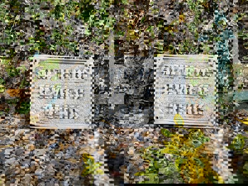 Beware of the Kids Stone Wall Plaque