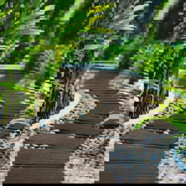 garden stepping stones