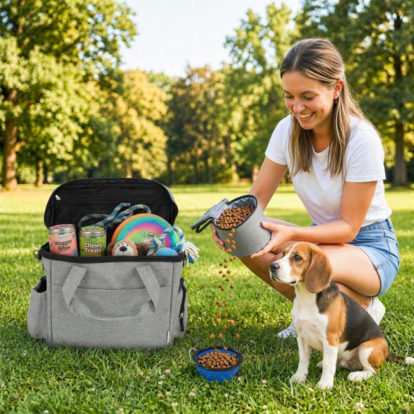 Pet Carrier Bag
